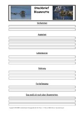 Bisamratte-Steckbriefvorlage.pdf